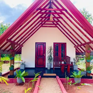 https://sigiri-enaya-cottage.kandyhotelsnow.com